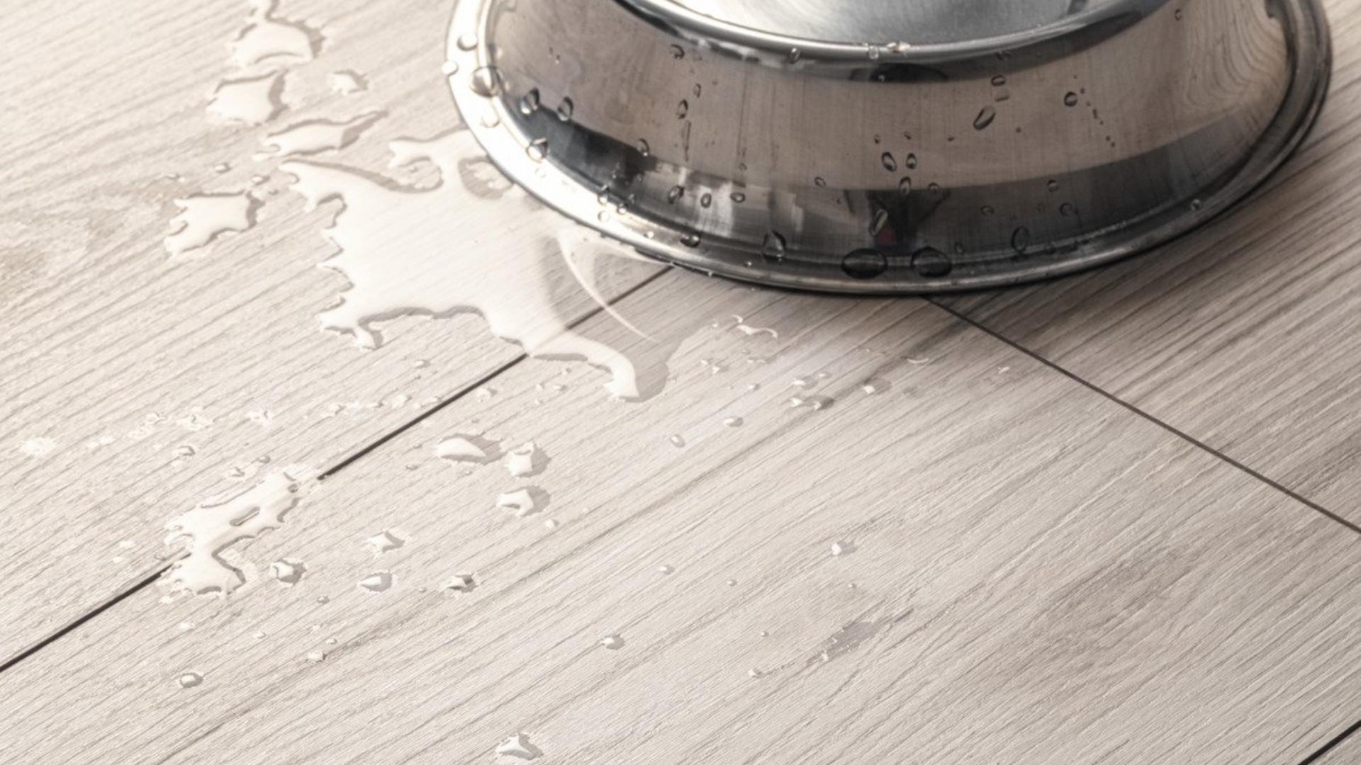Evoke Claymono palıdı
