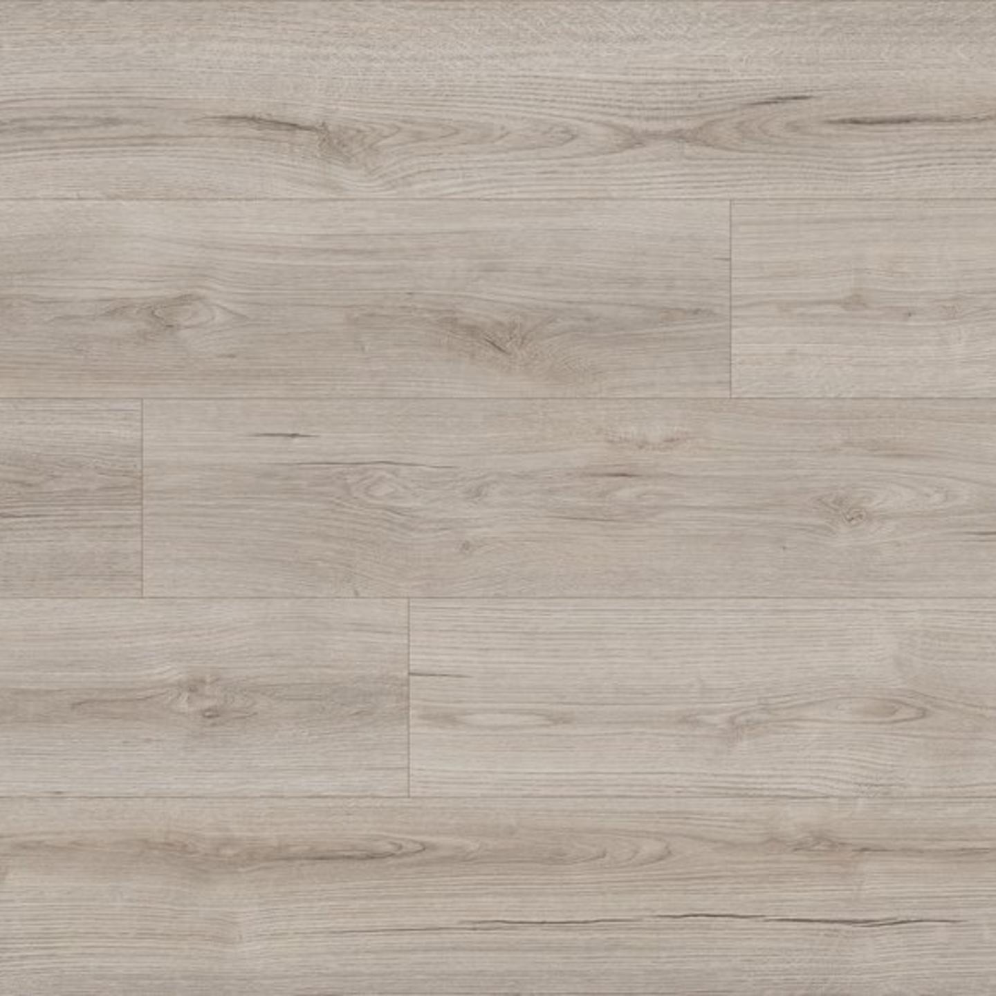 Evoke Claymono palıdı — 2